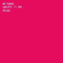 #E70B60 - Rose Color Image