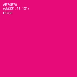 #E70B79 - Rose Color Image