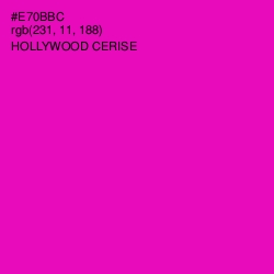 #E70BBC - Hollywood Cerise Color Image