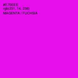 #E70EEE - Magenta / Fuchsia Color Image