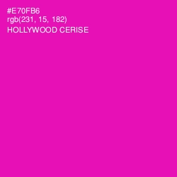 #E70FB6 - Hollywood Cerise Color Image