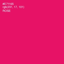 #E71165 - Rose Color Image