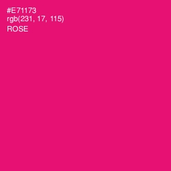 #E71173 - Rose Color Image