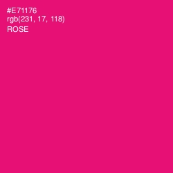 #E71176 - Rose Color Image