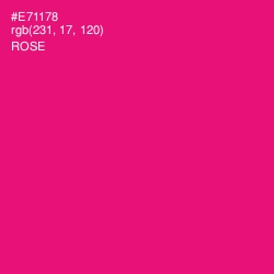 #E71178 - Rose Color Image