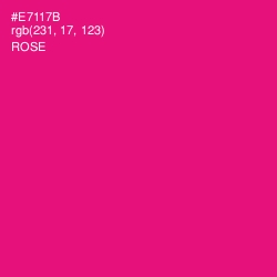 #E7117B - Rose Color Image