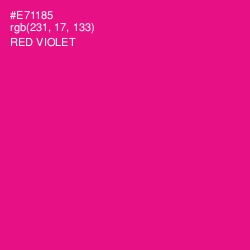#E71185 - Red Violet Color Image