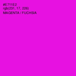 #E711E2 - Magenta / Fuchsia Color Image