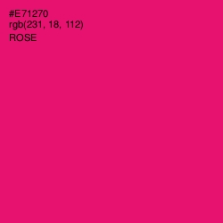 #E71270 - Rose Color Image