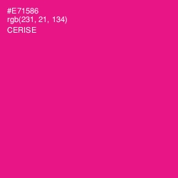 #E71586 - Cerise Color Image