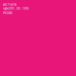 #E71678 - Rose Color Image