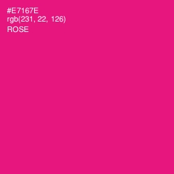 #E7167E - Rose Color Image