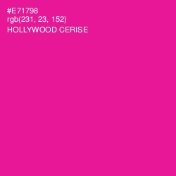 #E71798 - Hollywood Cerise Color Image