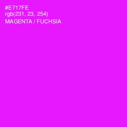#E717FE - Magenta / Fuchsia Color Image
