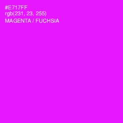 #E717FF - Magenta / Fuchsia Color Image