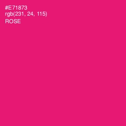 #E71873 - Rose Color Image