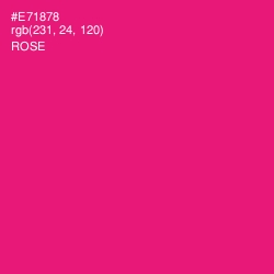 #E71878 - Rose Color Image