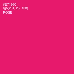 #E7196C - Rose Color Image