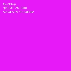 #E719F9 - Magenta / Fuchsia Color Image
