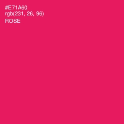 #E71A60 - Rose Color Image