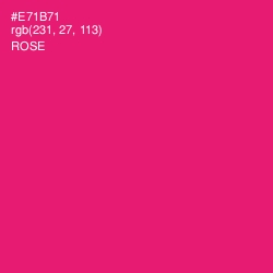 #E71B71 - Rose Color Image