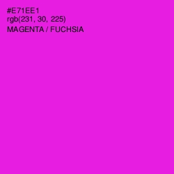 #E71EE1 - Magenta / Fuchsia Color Image