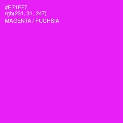 #E71FF7 - Magenta / Fuchsia Color Image
