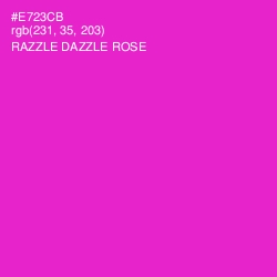 #E723CB - Razzle Dazzle Rose Color Image