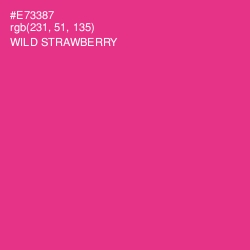 #E73387 - Wild Strawberry Color Image