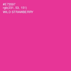 #E73597 - Wild Strawberry Color Image