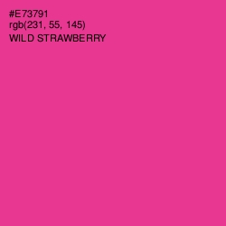 #E73791 - Wild Strawberry Color Image