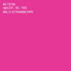 #E73796 - Wild Strawberry Color Image