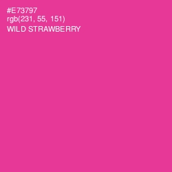 #E73797 - Wild Strawberry Color Image