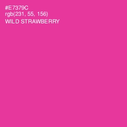 #E7379C - Wild Strawberry Color Image