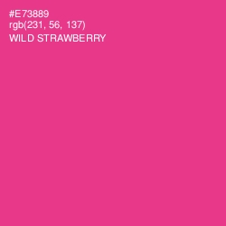 #E73889 - Wild Strawberry Color Image