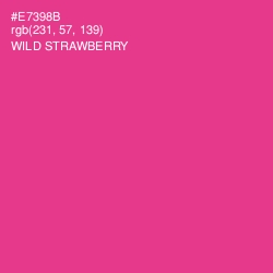 #E7398B - Wild Strawberry Color Image