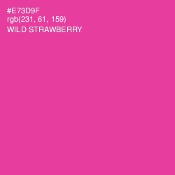 #E73D9F - Wild Strawberry Color Image