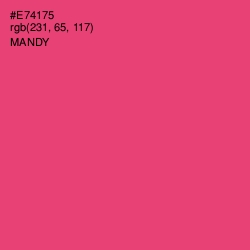 #E74175 - Mandy Color Image