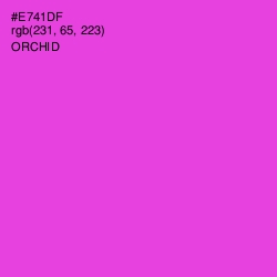 #E741DF - Orchid Color Image