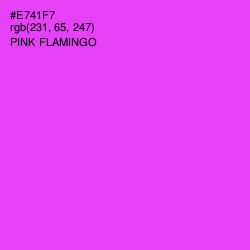 #E741F7 - Pink Flamingo Color Image