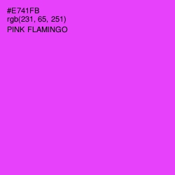 #E741FB - Pink Flamingo Color Image