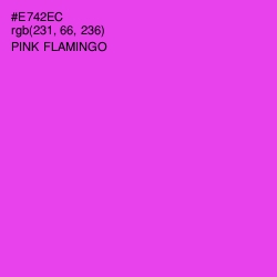 #E742EC - Pink Flamingo Color Image