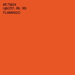 #E75624 - Flamingo Color Image