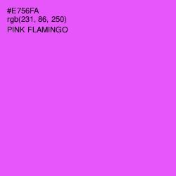 #E756FA - Pink Flamingo Color Image