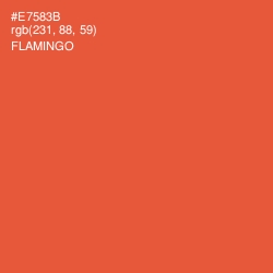 #E7583B - Flamingo Color Image