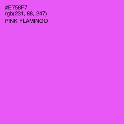 #E758F7 - Pink Flamingo Color Image