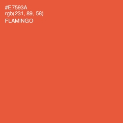 #E7593A - Flamingo Color Image