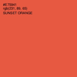 #E75941 - Sunset Orange Color Image