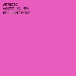 #E75CBC - Brilliant Rose Color Image