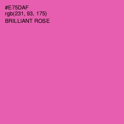 #E75DAF - Brilliant Rose Color Image